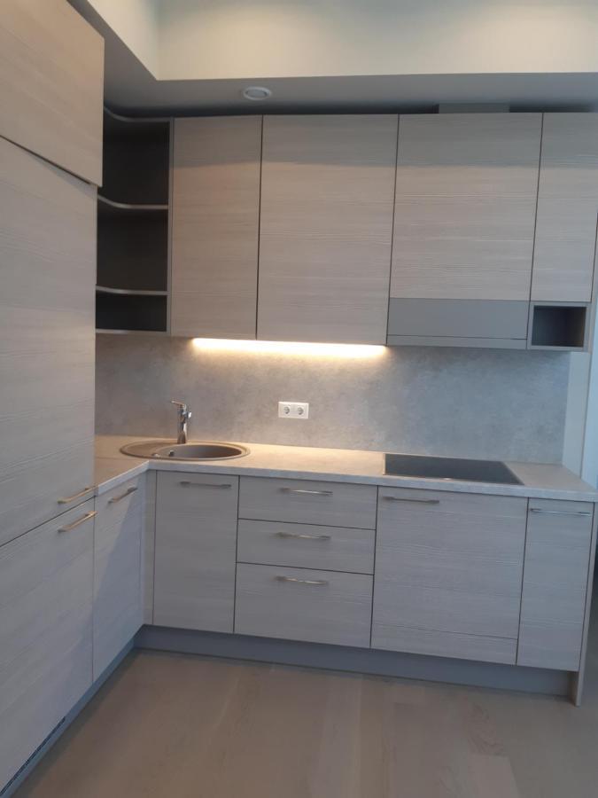 Apartment In Druskininkai City Centre Eksteriør billede