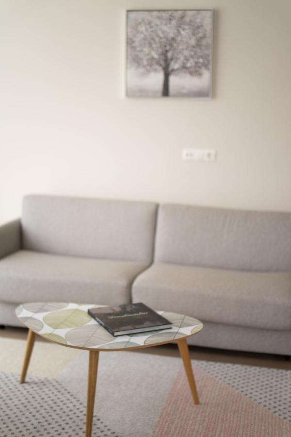 Apartment In Druskininkai City Centre Eksteriør billede