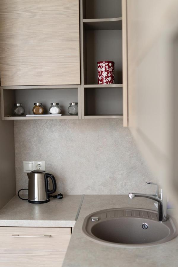Apartment In Druskininkai City Centre Eksteriør billede